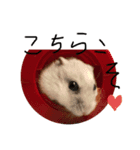 トムプラ（個別スタンプ：3）