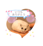 トムプラ（個別スタンプ：4）