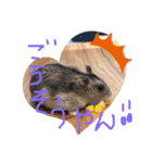 トムプラ（個別スタンプ：5）