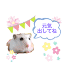 トムプラ（個別スタンプ：6）