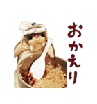 NEZUMI HOUSEの仲間たち 1（個別スタンプ：15）