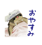 NEZUMI HOUSEの仲間たち 1（個別スタンプ：16）