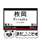 奈良線 難波線 駅名 今まだこの駅だよ！（個別スタンプ：14）