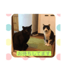 jijiririnyns（個別スタンプ：1）