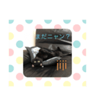 jijiririnyns（個別スタンプ：3）