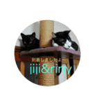 jijiririnyns（個別スタンプ：4）