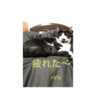 jijiririnyns（個別スタンプ：7）
