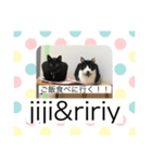 jijiririnyns（個別スタンプ：8）