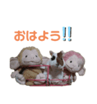 wanko⑤モルモット いろは（個別スタンプ：5）