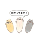 ネコちゃん1（個別スタンプ：13）