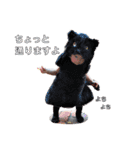 むちむち♪こうきbaby 1（個別スタンプ：22）