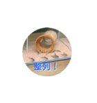 まゆみのさかな-日常にアクアリウムを♪-（個別スタンプ：30）