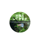 まゆみのさかな-日常にアクアリウムを♪-（個別スタンプ：32）