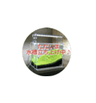 まゆみのさかな-日常にアクアリウムを♪-（個別スタンプ：33）