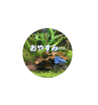まゆみのさかな-日常にアクアリウムを♪-（個別スタンプ：40）