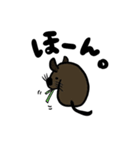 アンデスねずみ（個別スタンプ：5）