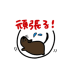 アンデスねずみ（個別スタンプ：12）