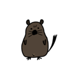 アンデスねずみ（個別スタンプ：19）