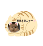 アオの日常スタンプ（個別スタンプ：7）