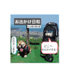 チワワ チョコ ＆ ブルドック バット（個別スタンプ：12）
