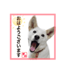 CHIRO's stump（個別スタンプ：1）