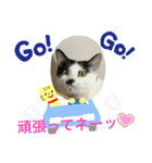 トラチワちゃん♪♪（個別スタンプ：3）