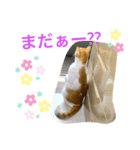 トラチワちゃん♪♪（個別スタンプ：6）