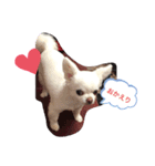 Diana stump（個別スタンプ：4）
