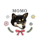 ももちゃんのすたんぷ☆（個別スタンプ：1）