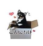 ももちゃんのすたんぷ☆（個別スタンプ：2）