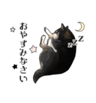 ももちゃんのすたんぷ☆（個別スタンプ：8）