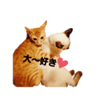 色々な猫達（個別スタンプ：8）