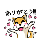 実家犬モミジちゃん（個別スタンプ：1）