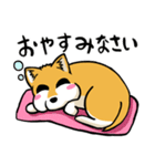 実家犬モミジちゃん（個別スタンプ：3）