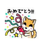 実家犬モミジちゃん（個別スタンプ：4）