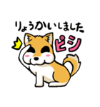 実家犬モミジちゃん（個別スタンプ：7）