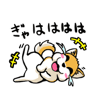 実家犬モミジちゃん（個別スタンプ：8）