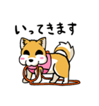 実家犬モミジちゃん（個別スタンプ：9）