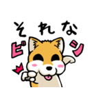 実家犬モミジちゃん（個別スタンプ：13）