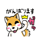 実家犬モミジちゃん（個別スタンプ：14）