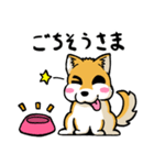 実家犬モミジちゃん（個別スタンプ：15）
