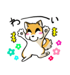 実家犬モミジちゃん（個別スタンプ：16）