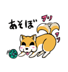 実家犬モミジちゃん（個別スタンプ：17）
