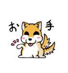 実家犬モミジちゃん（個別スタンプ：18）