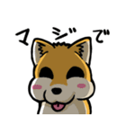 実家犬モミジちゃん（個別スタンプ：19）