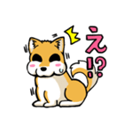 実家犬モミジちゃん（個別スタンプ：23）