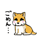 実家犬モミジちゃん（個別スタンプ：24）