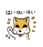 実家犬モミジちゃん（個別スタンプ：26）