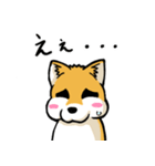 実家犬モミジちゃん（個別スタンプ：28）