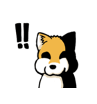実家犬モミジちゃん（個別スタンプ：31）